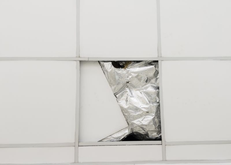 Ceiling Tile Replacement