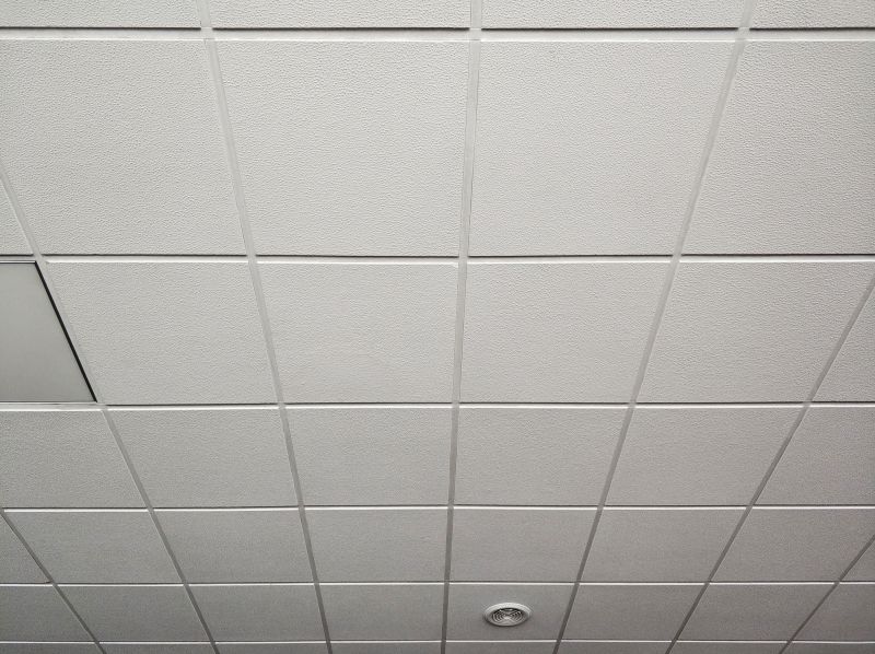 Ceiling Tile Replacement