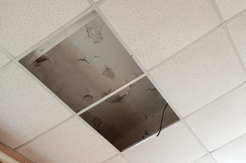 Damaged Ceiling Tiles
