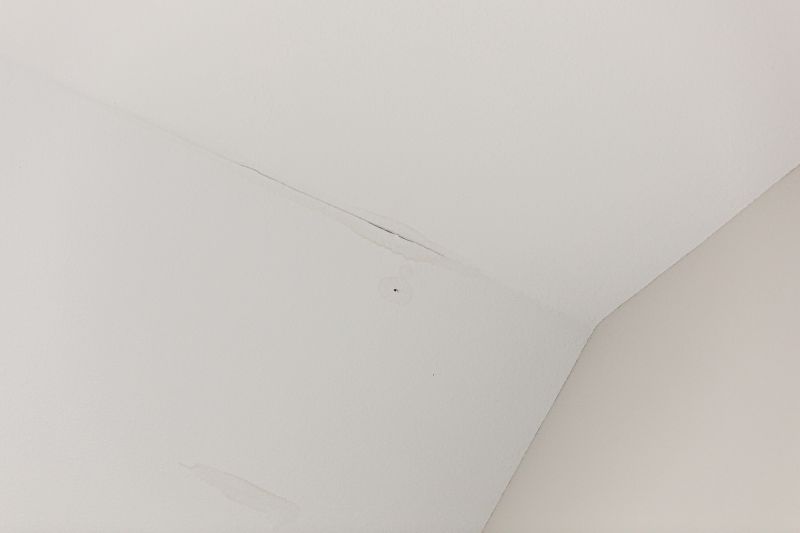 Damaged Ceiling Tiles