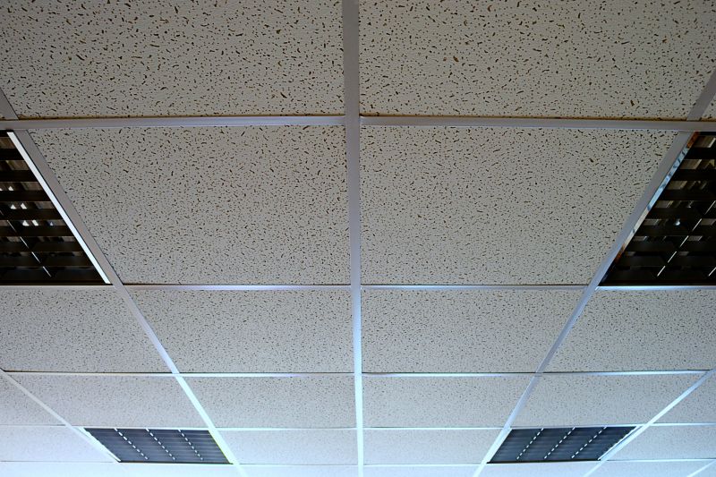 Suspended Ceiling Systems