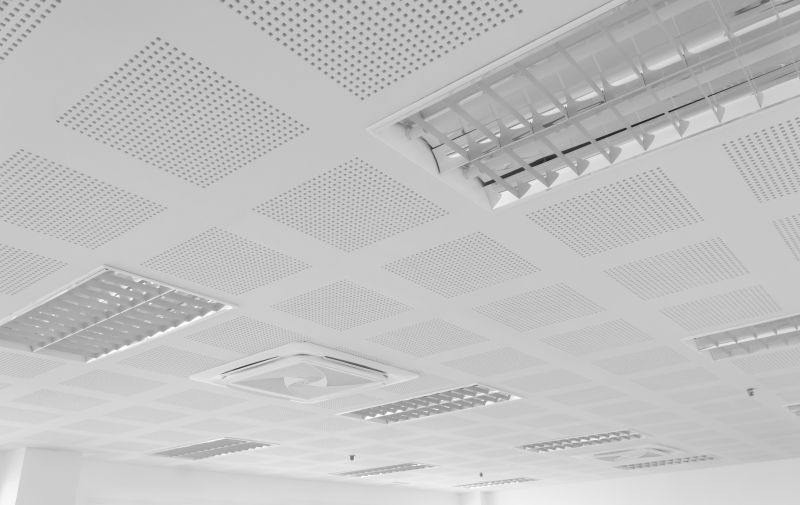 Grid Ceiling Repair in Boulder, CO