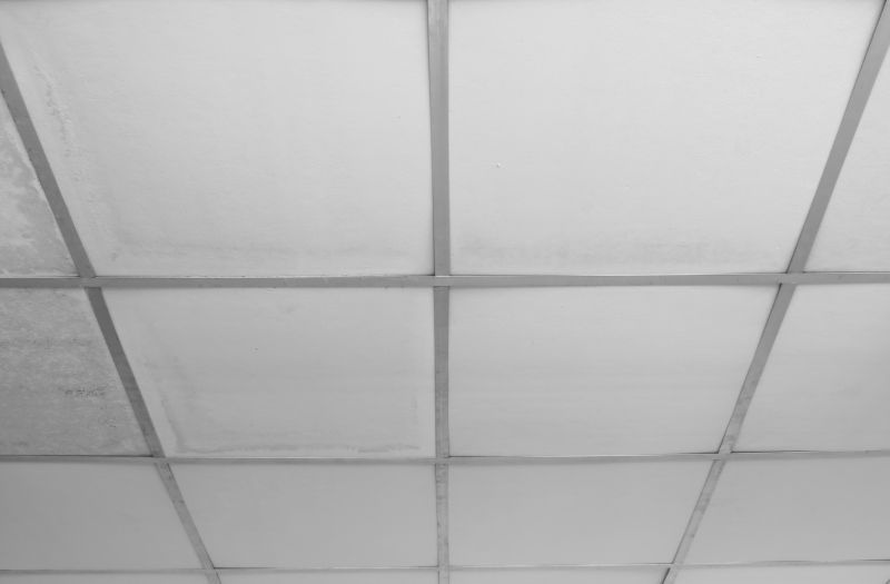 Suspended Ceiling Repair in Arvada, CO