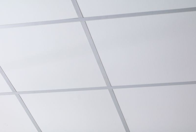 T Bar Ceiling Installation in Longmont, CO