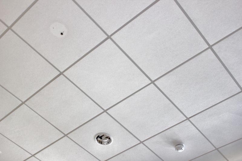 T Bar Ceiling Installation in Longmont, CO