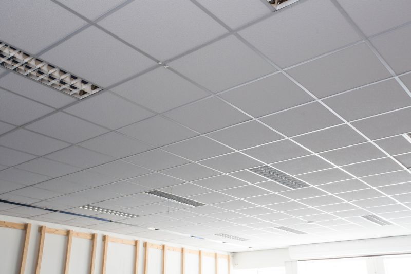 Drop Ceiling Installation in Longmont, CO