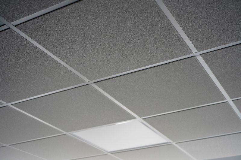 Grid Ceiling Installation in Longmont, CO